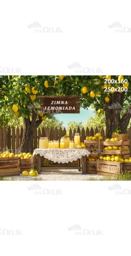 Tło fotograficzne Przedszkole lemoniada 3443